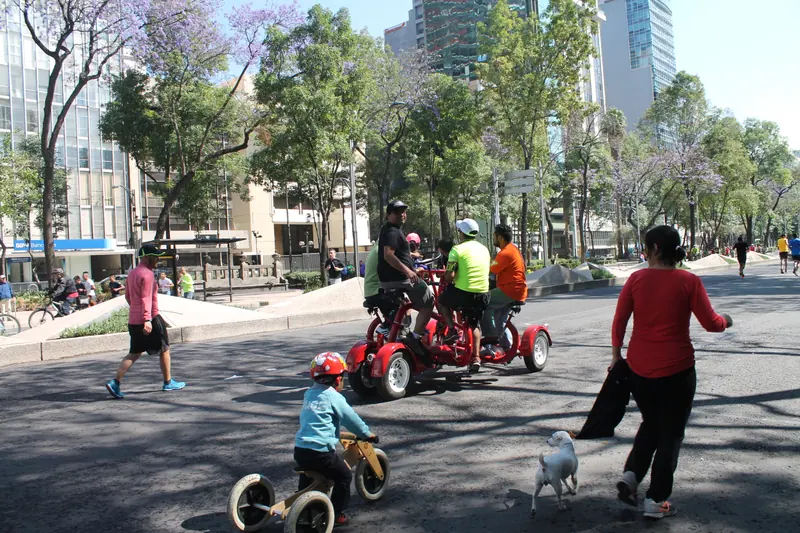 Party Bike